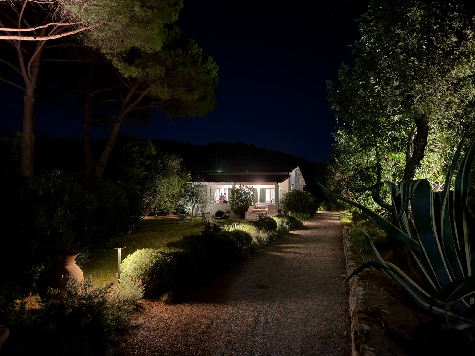 Illuminazione del percorso di accesso alla villa e della vegetazione
