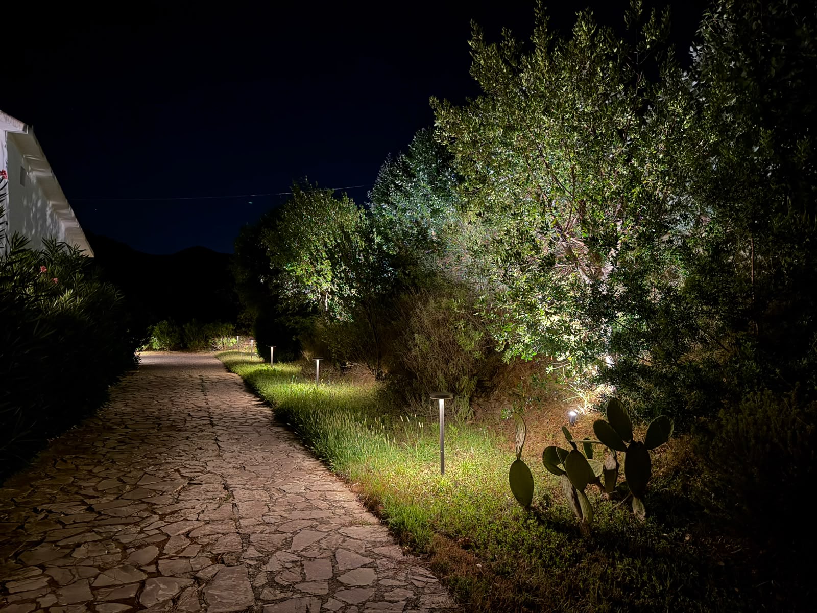 Giardino mediterraneo illuminato, seconda vista notturna