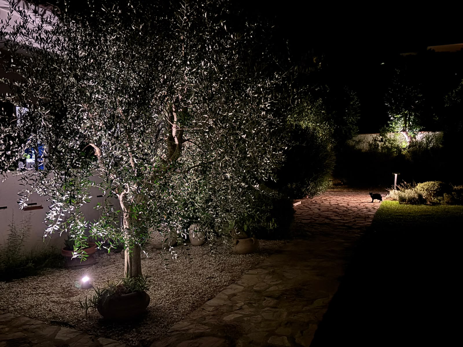 Giardino mediterraneo illuminato, terza vista notturna