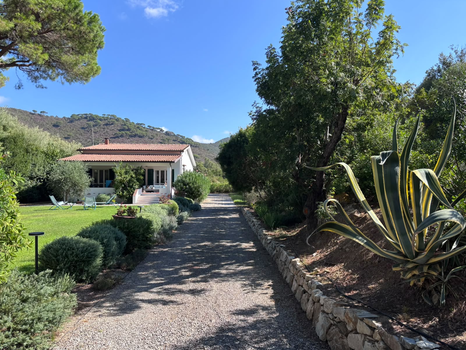 La villa affacciata sul prato e sulle bordure mediterranee