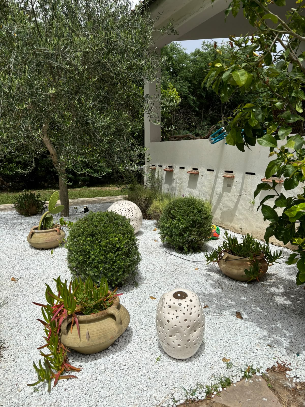 Il giardino minerale con ulivo, arbusti e vasi mediterranei