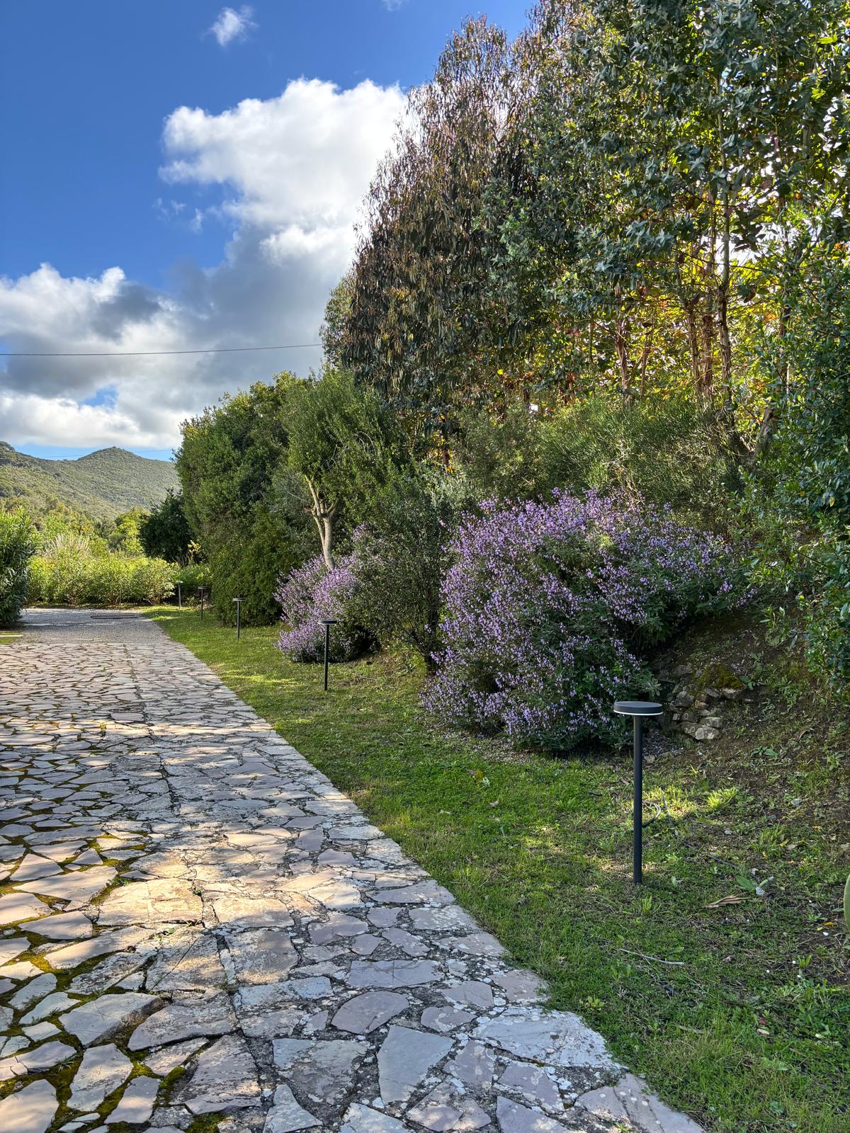 Il viale in pietra accompagnato dalla vegetazione mediterranea