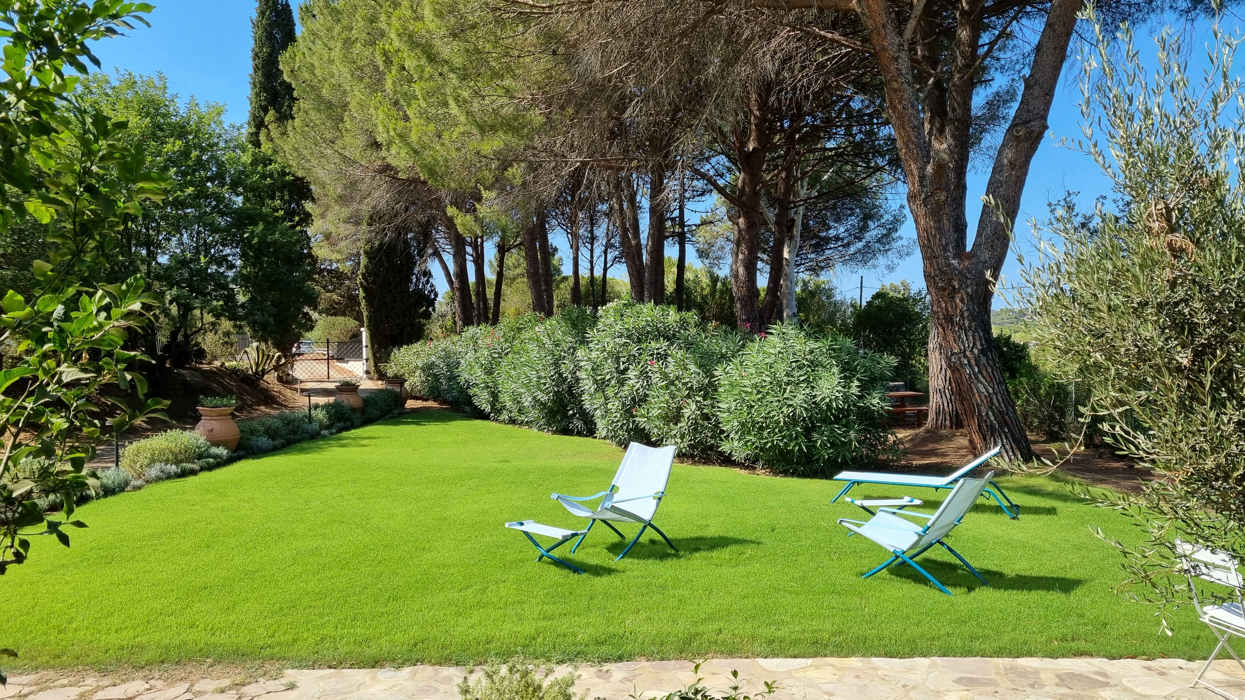 Giardino mediterraneo di una villa privata all’Isola d’Elba