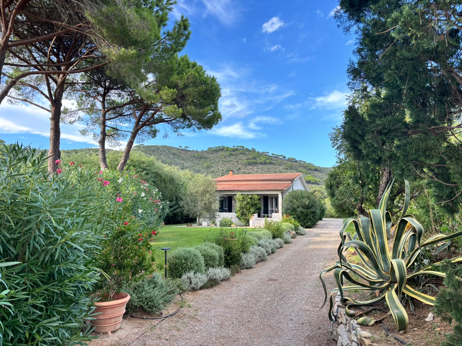 La villa affacciata sul viale tra agavi e vegetazione mediterranea