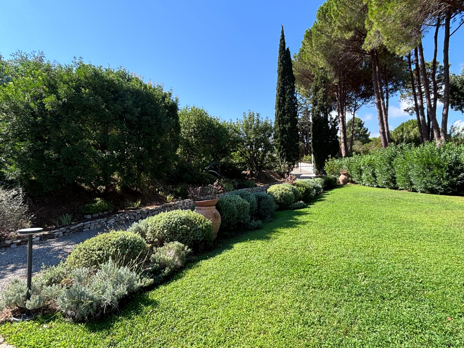 Il prato della villa definito da bordure arbustive e grandi alberature