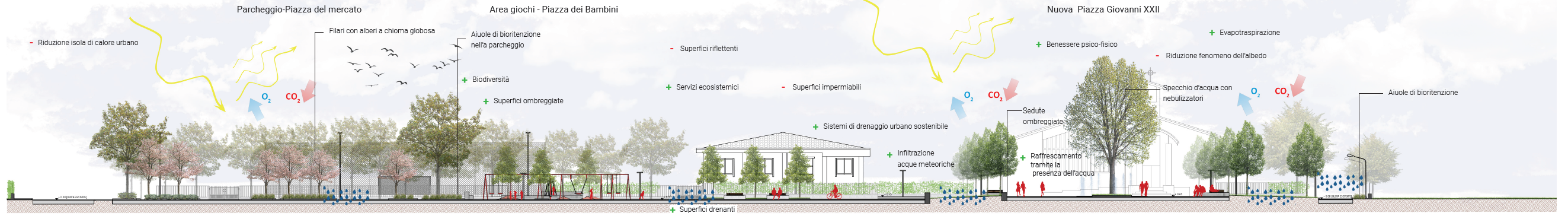 Sezione del progetto di Piazza Giovanni XXIII