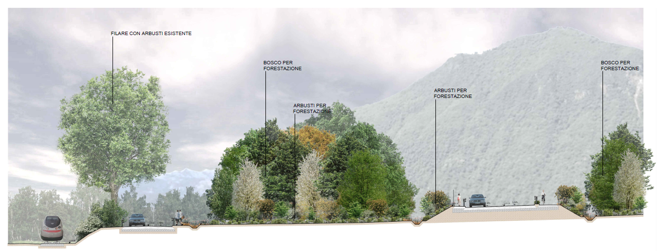 Sezione paesaggistica con boschi e arbusti di forestazione