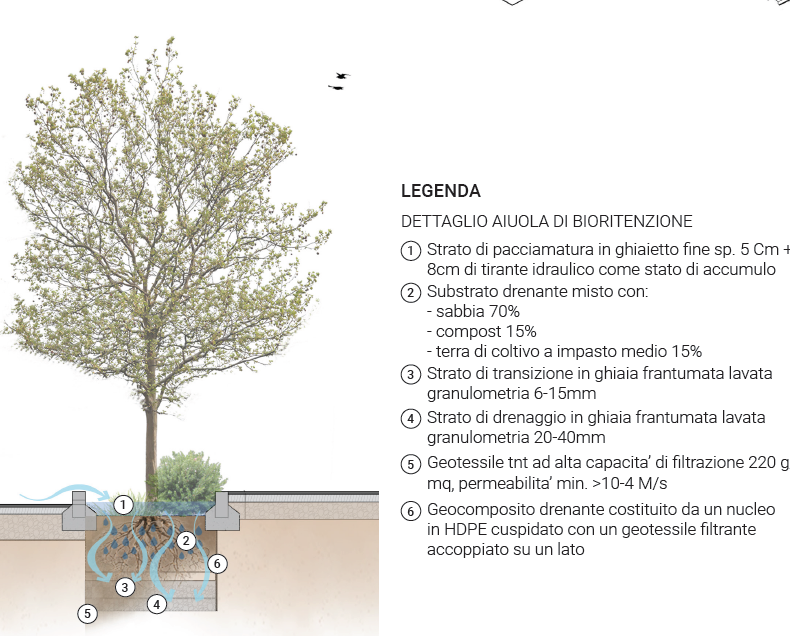 Dettaglio costruttivo dell’aiuola di bioritenzione
