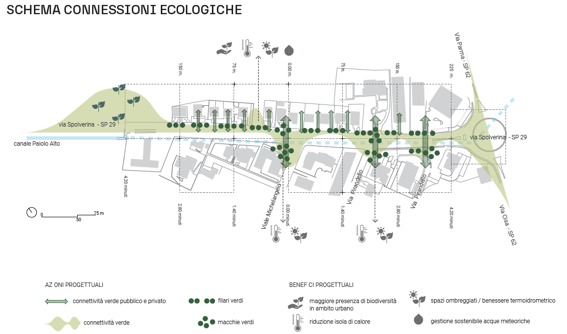 Schema delle connessioni ecologiche